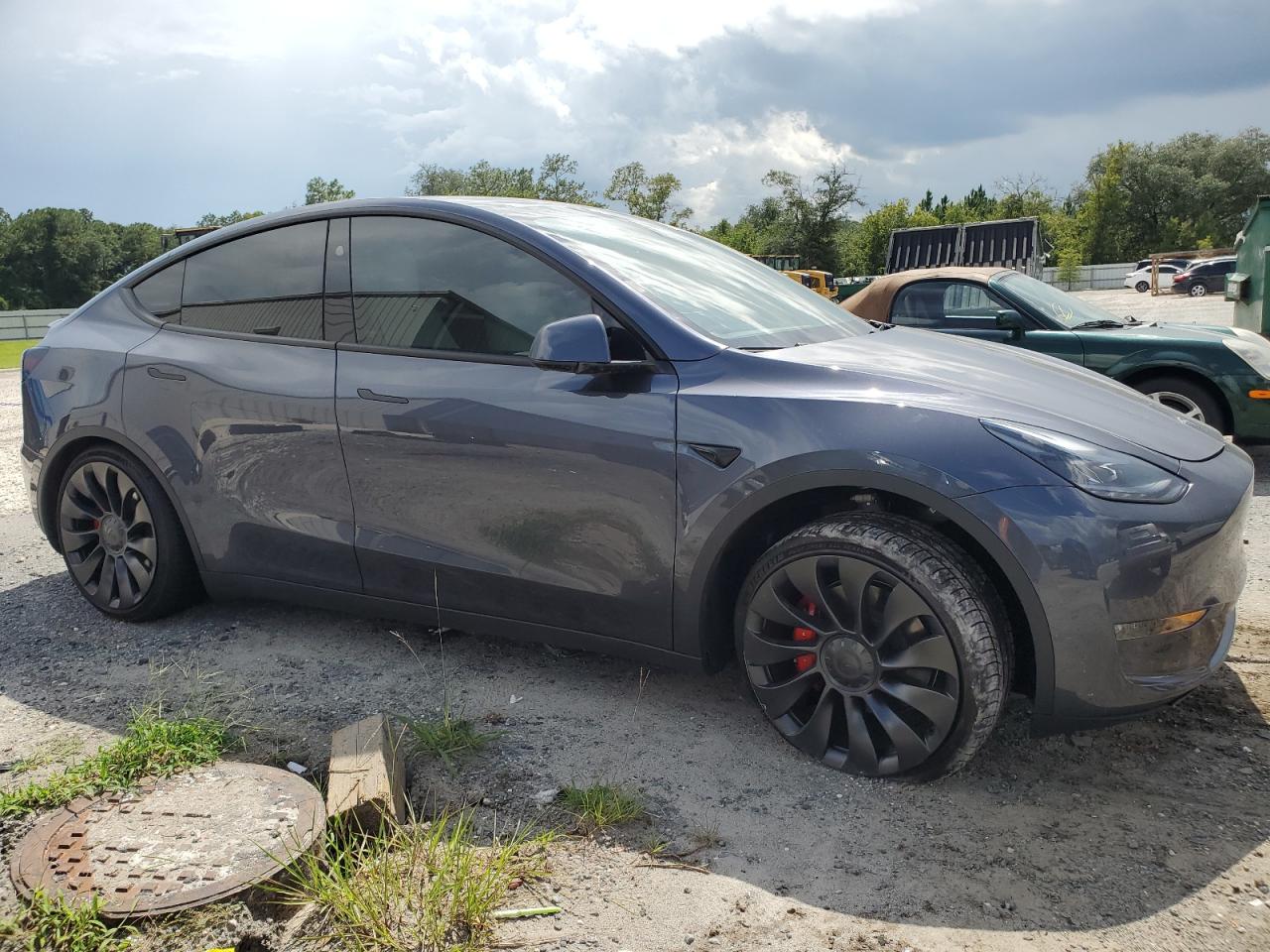 2023 TESLA MODEL Y  VIN:7SAYGDEF7PF961177