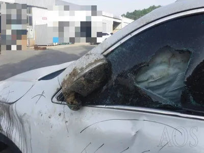 2017 Kia Sorento KNAPG81ABJA412119 VIN:KNAPG81ABJA412119