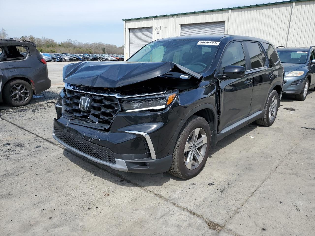 2024 HONDA PILOT EXL VIN:5FNYG2H51RB009430