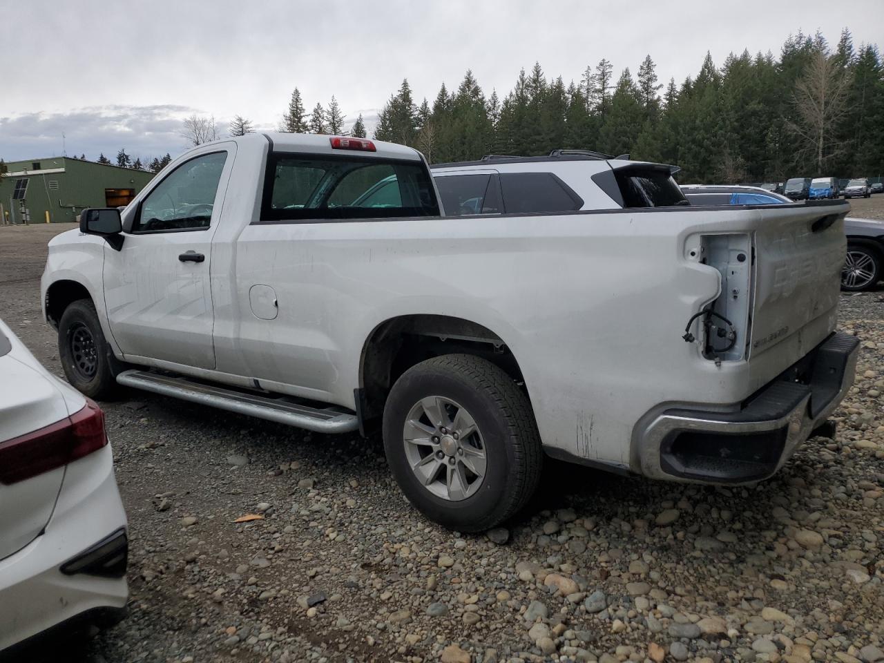 2024 CHEVROLET SILVERADO C1500 VIN:3GCNAAED5RG357087