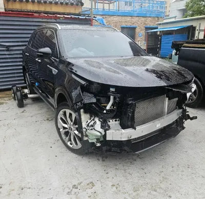 2021 Kia Sorento KNARH81BGMA010820 VIN:KNARH81BGMA010820