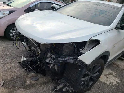 2017 Hyundai Santa FE KMHSW81UBJU839596 VIN:KMHSW81UBJU839596