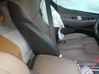 2019 Hyundai Santa FE KMHS381CDKU003486 VIN:KMHS381CDKU003486