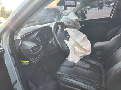 2019 Hyundai Santa FE KMHS381BBKU156411 VIN:KMHS381BBKU156411