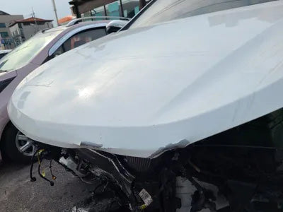 2017 Hyundai Santa FE KMHSW81UBJU839596 VIN:KMHSW81UBJU839596