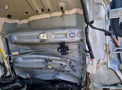 2022 Tesla Model 3 5YJ3E1EA5NF303368 VIN:5YJ3E1EA5NF303368