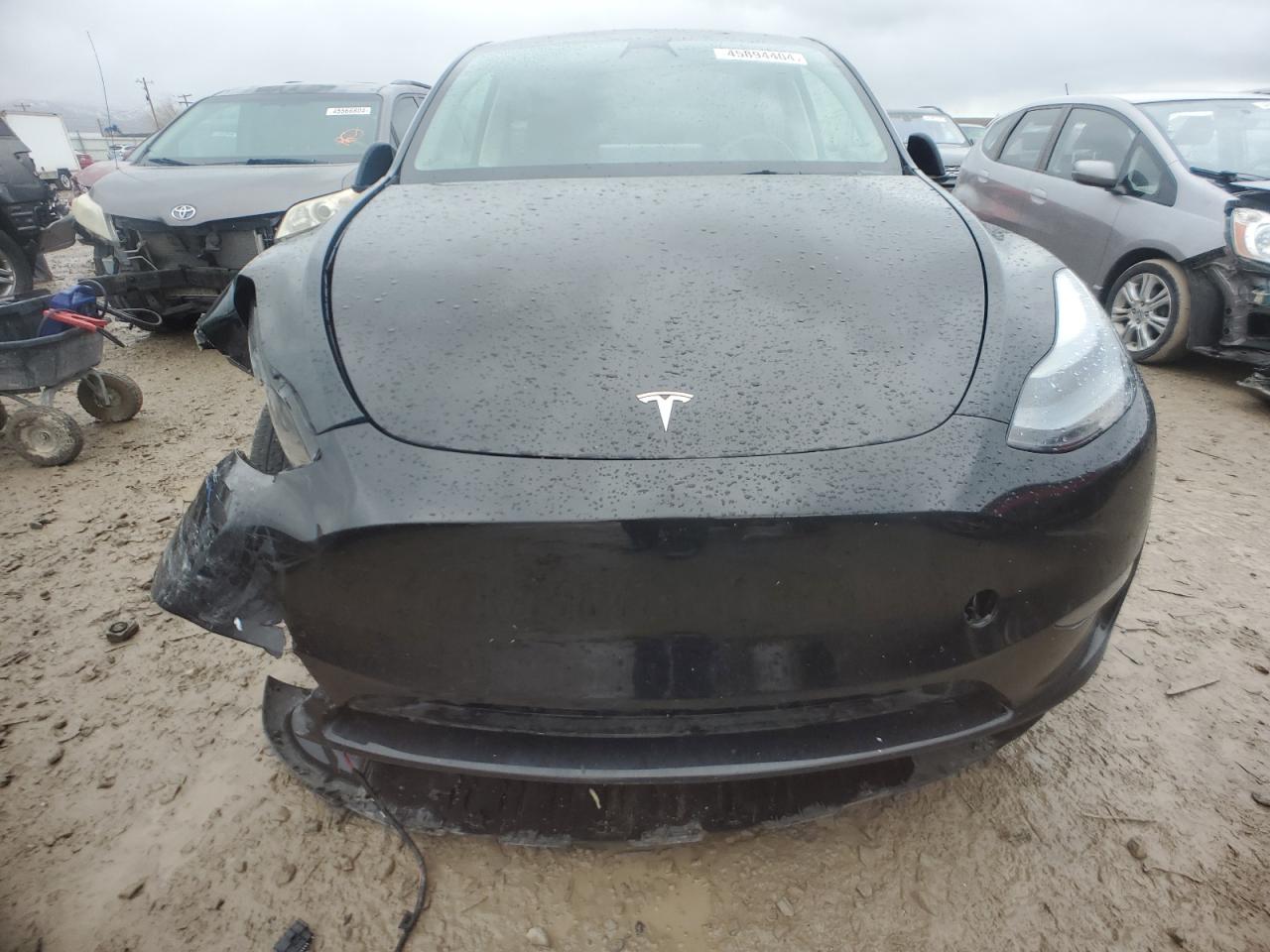 2023 TESLA MODEL Y  VIN:7SAYGDEE3PF746645