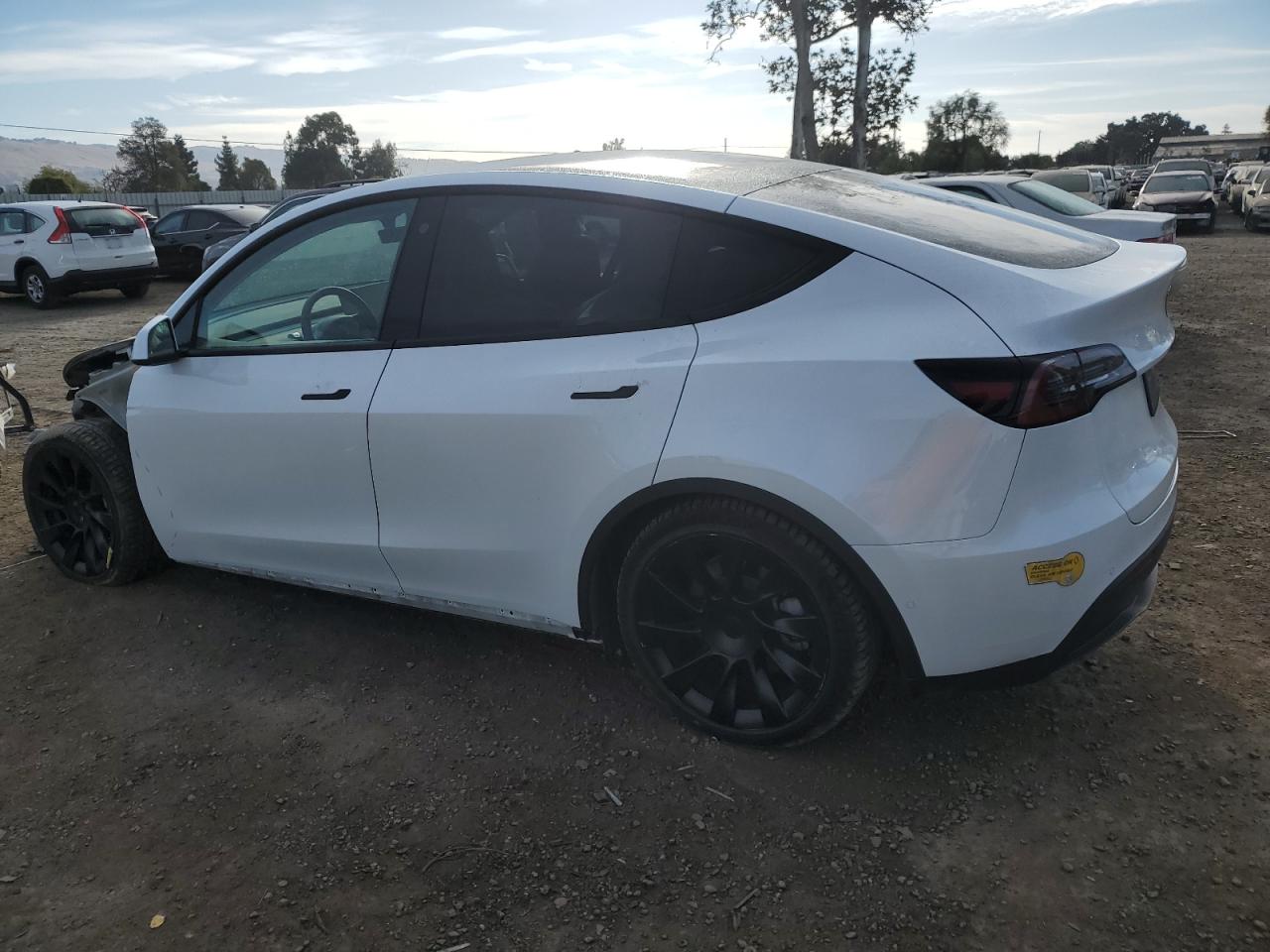 2022 TESLA MODEL Y  VIN:7SAYGAEE8NF384436