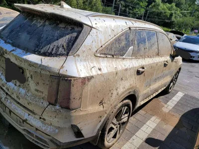 2021 Kia Sorento KNARK81GBMA041859 VIN:KNARK81GBMA041859