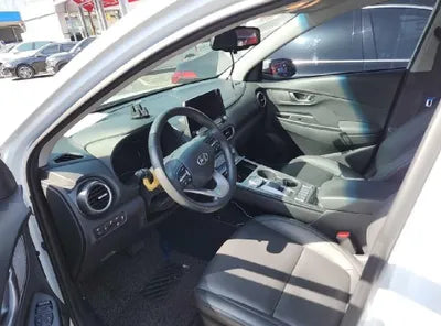 2020 Hyundai Kona KMHK281GFLU113448 VIN:KMHK281GFLU113448