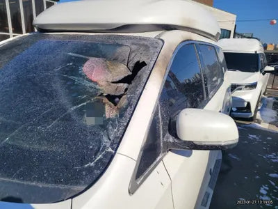 2017 Kia Carnival VIN: