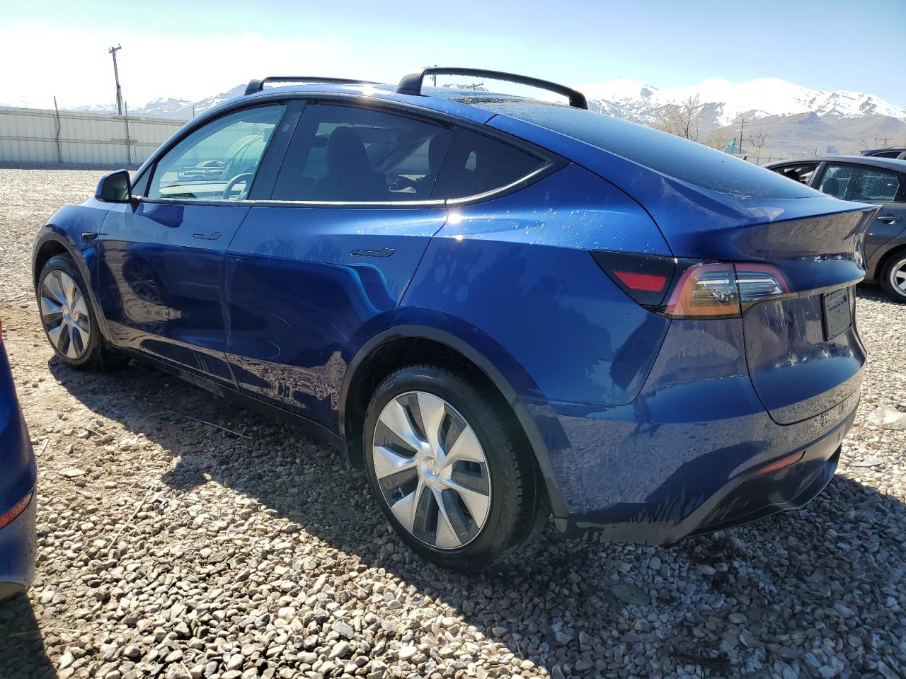 2023 TESLA MODEL Y  VIN:7SAYGDEE3PF969428