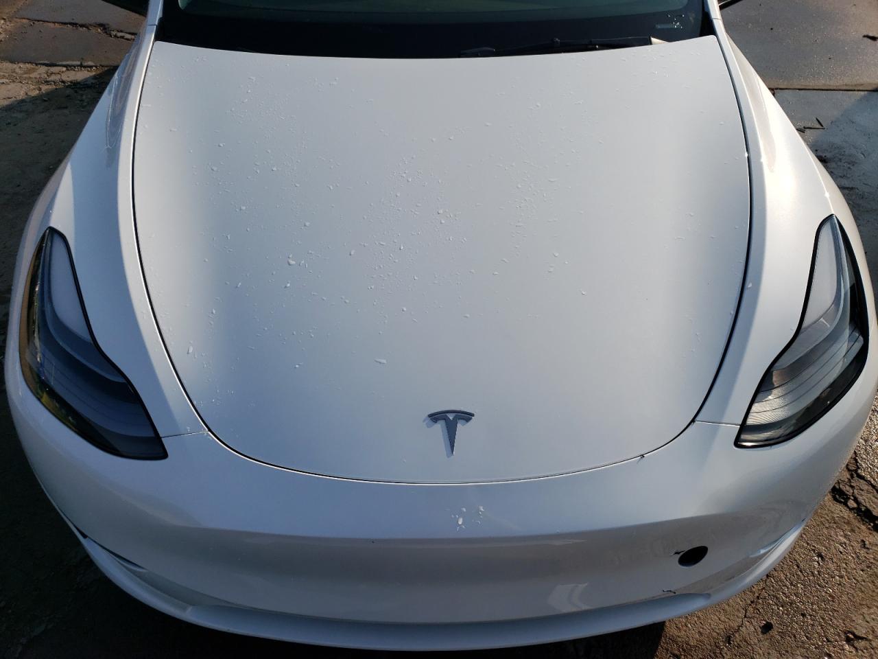 2023 TESLA MODEL Y  VIN:7SAYGDEF5PF710996