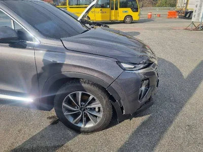 2019 Hyundai Santa FE KMHS281BBLU214044 VIN:KMHS281BBLU214044