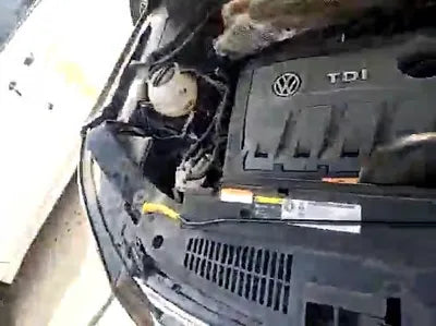 2015 Volkswagen Tiguan WVGZZZ5NZFW033783 VIN:WVGZZZ5NZFW033783