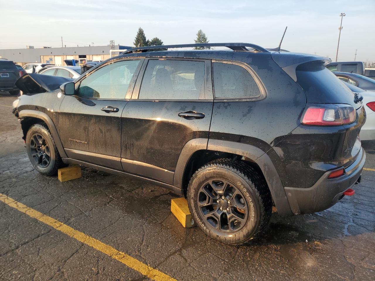 2022 JEEP CHEROKEE TRAILHAWK VIN:1C4PJMBX9ND504883