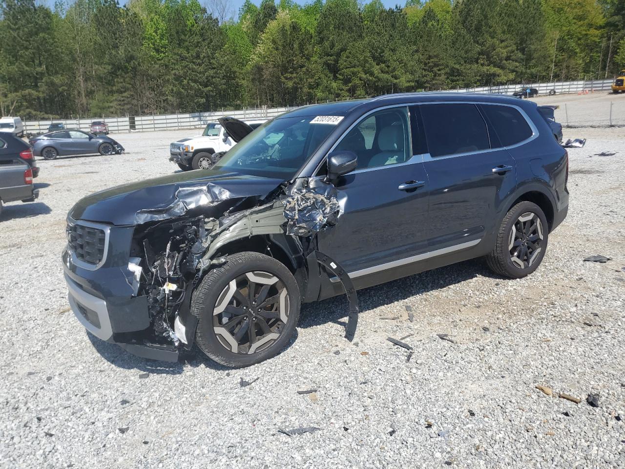 2024 KIA TELLURIDE S VIN:5XYP6DGC5RG437424