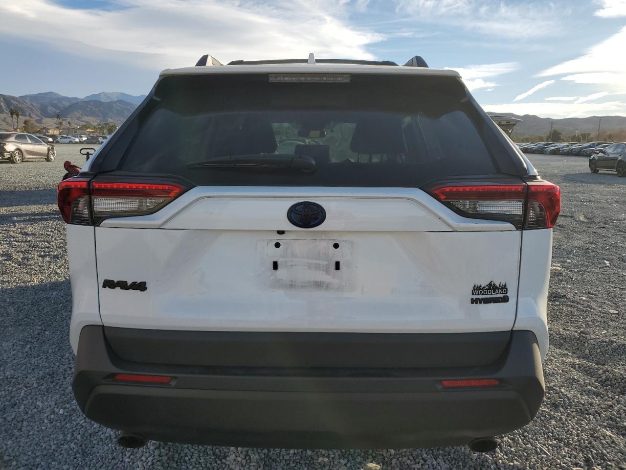 2023 TOYOTA RAV4 WOODLAND EDITION VIN:KNMAT2MT4JP611296