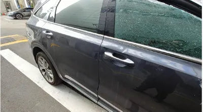 2021 Kia Sorento KNARG81BGMA017381 VIN:KNARG81BGMA017381