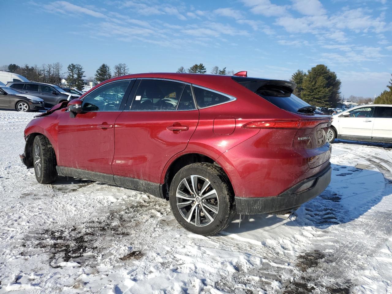 2023 TOYOTA VENZA LE VIN:JTEAAAAH4PJ143755