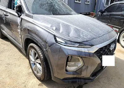 2019 Hyundai Santa FE KMHS281BBKU176591 VIN:KMHS281BBKU176591