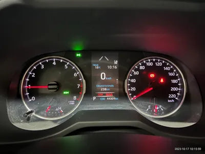 2019 Toyota RAV4 VIN: