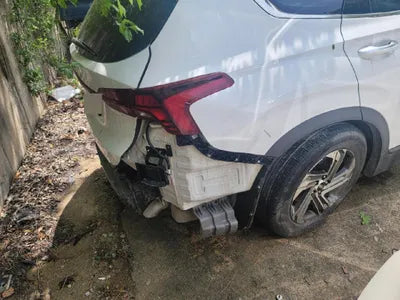 2020 Hyundai Santa FE KMHS381HGMU328111 VIN:KMHS381HGMU328111