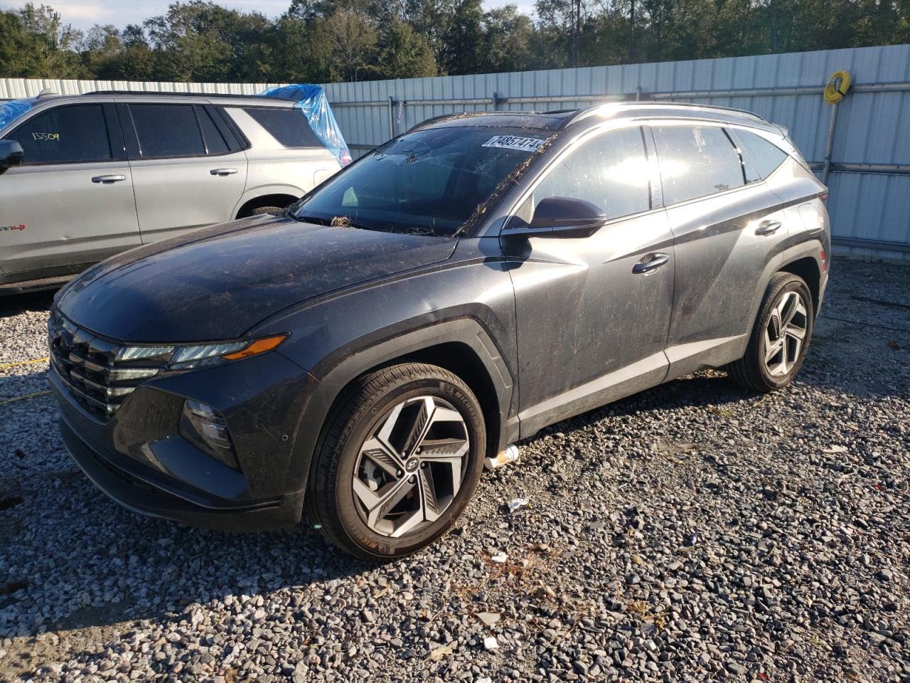 2024 HYUNDAI TUCSON LIMITED VIN:5NMJECDEXRH295716