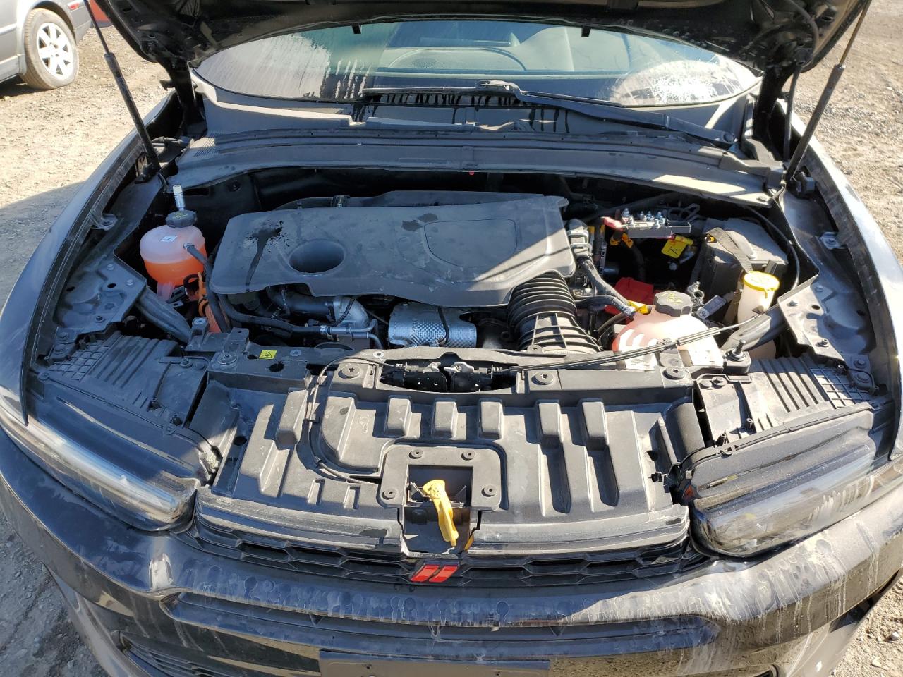 2024 DODGE HORNET R/T PLUS VIN:ZACPDFDWXR3A10439