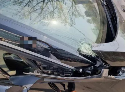 2019 BMW 120 WBY8P2103K7D97272 VIN:WBY8P2103K7D97272