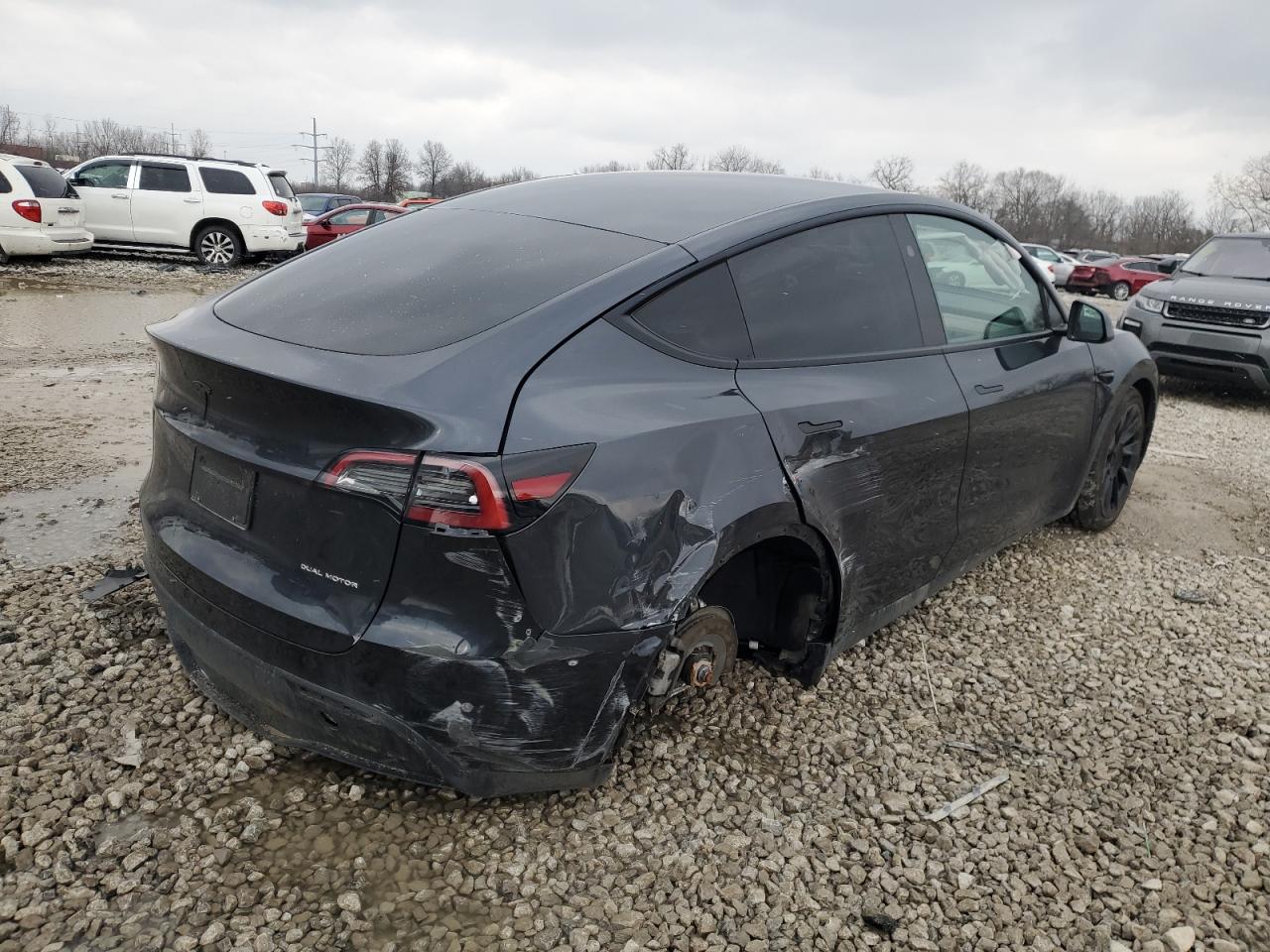 2024 TESLA MODEL Y  VIN:7SAYGDEEXRF988853