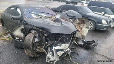 2020 BMW M8 WBSGV010XLCE52650 VIN:WBSGV010XLCE52650