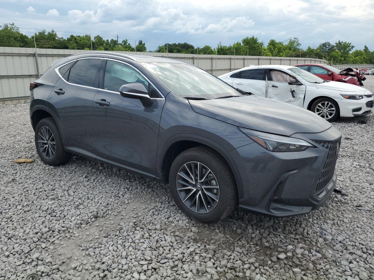 2024 LEXUS NX 250 PREMIUM VIN:2T2GDCAZ7RC011156