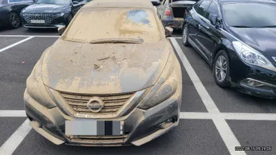 2018 Nissan Altima 1N4AL3AP5JC257184 VIN:1N4AL3AP5JC257184