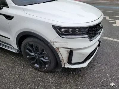 2022 Kia Sorento KNARJ81FHNA165991 VIN:KNARJ81FHNA165991