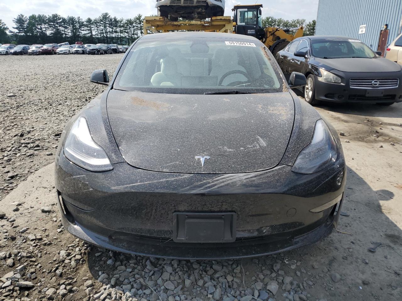 2023 TESLA MODEL 3  VIN:5YJ3E1EAXPF549903