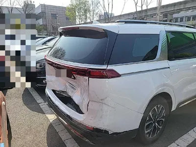 2022 Kia Carnival KNANE81BBNS166263 VIN:KNANE81BBNS166263