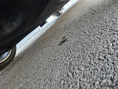 2022 BMW 120 WBA7L7108N7K54306 VIN:WBA7L7108N7K54306