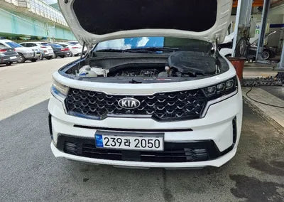 2021 Kia Sorento KNARF81BGMA031561 VIN:KNARF81BGMA031561