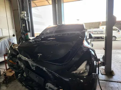 2021 Tesla Model Y 5YJYGDEE0MF176063 VIN:5YJYGDEE0MF176063