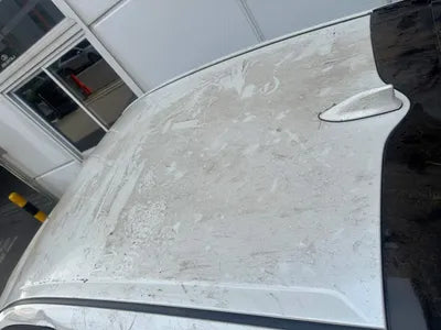 2019 Toyota Prius JTDKARFU4K3088587 VIN:JTDKARFU4K3088587