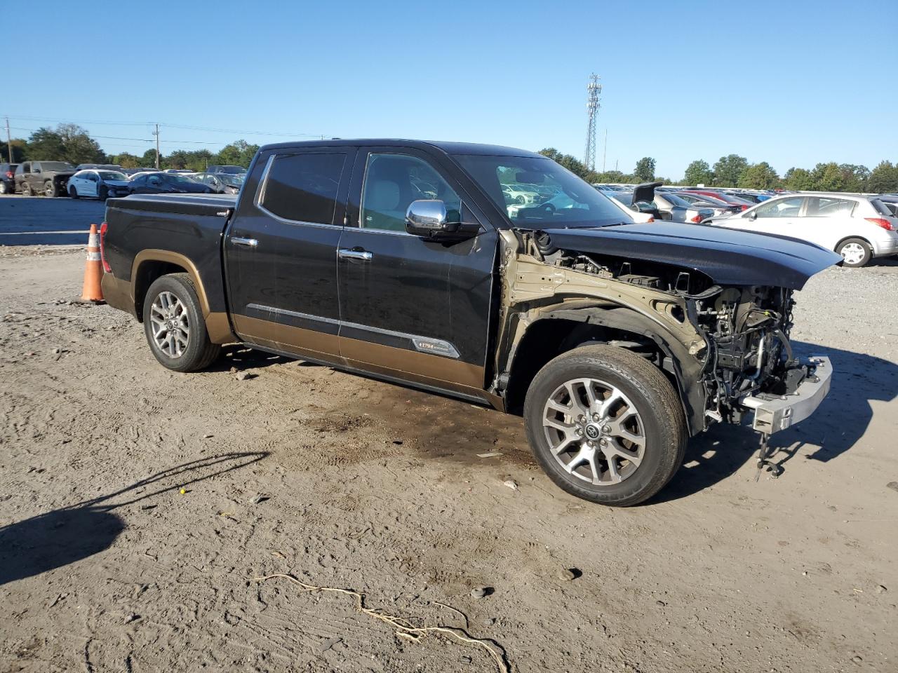 2022 TOYOTA TUNDRA CREWMAX PLATINUM VIN:5TFMA5DB6NX009193