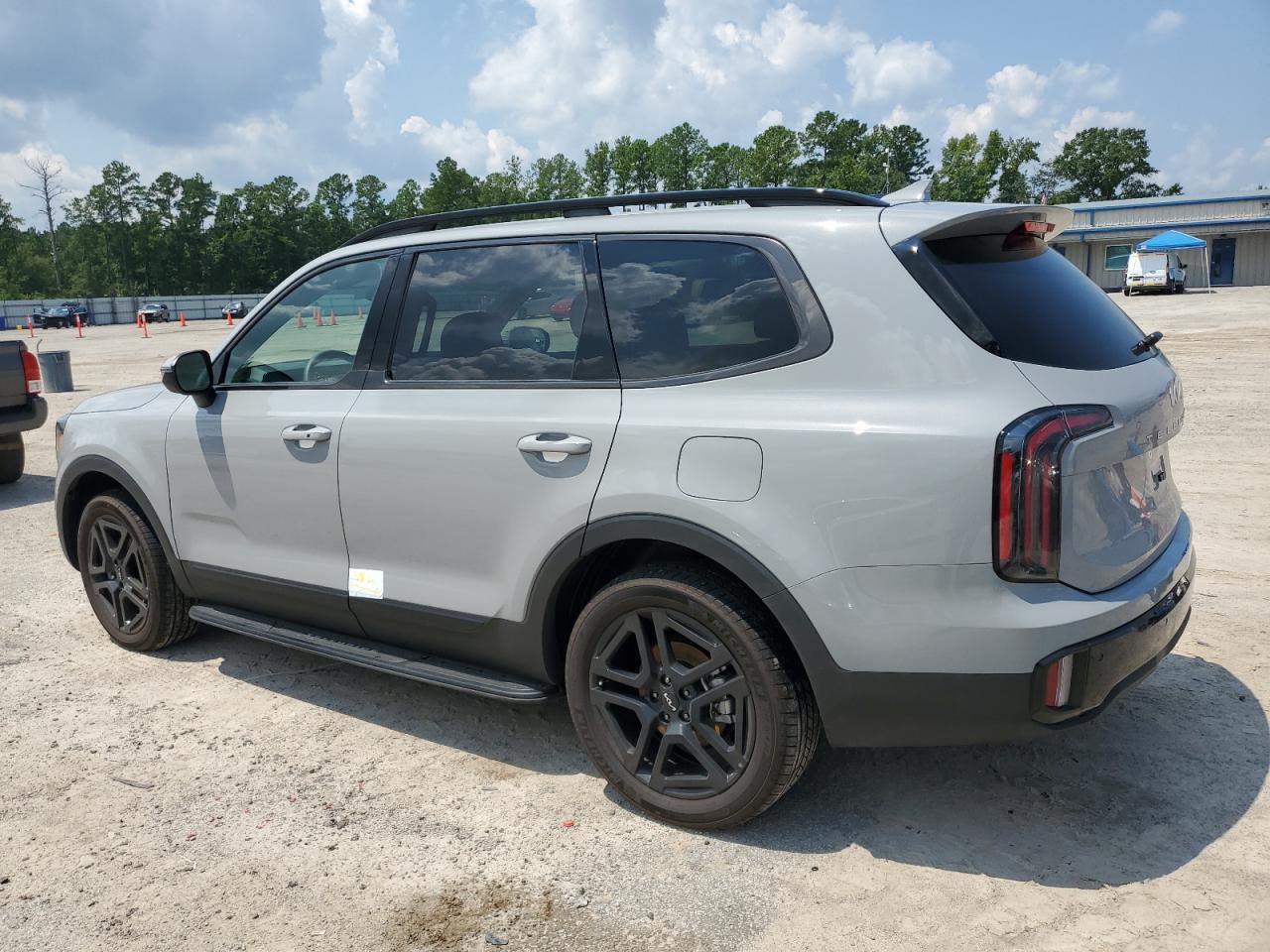 2024 KIA TELLURIDE EX VIN:5XYP3DGC5RG533515