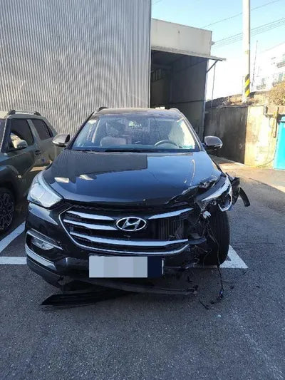 2016 Hyundai Santa FE 972KMKMHSW81UDGU5 VIN:972KMKMHSW81UDGU5