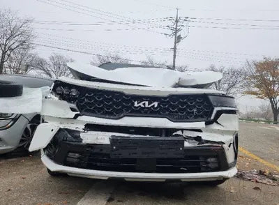 2023 Kia Sorento KNARJ81GBPA204006 VIN:KNARJ81GBPA204006