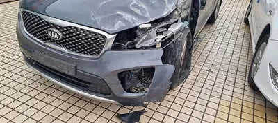 2017 Kia Sorento KNAPS81ABHA341237 VIN:KNAPS81ABHA341237