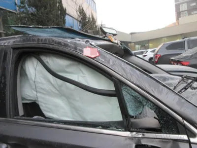 2020 Hyundai Santa FE 1KMHS281BBLU25847 VIN:1KMHS281BBLU25847