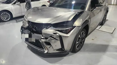 2019 Lexus UX 250 639KMJTHU9JBH1K20 VIN:639KMJTHU9JBH1K20