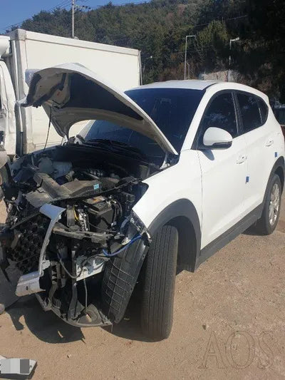 2019 Hyundai Tucson KMHJ3812GKU017297 VIN:KMHJ3812GKU017297