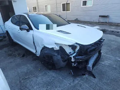 2021 Kia Stinger KNAE551CDMS098940 VIN:KNAE551CDMS098940
